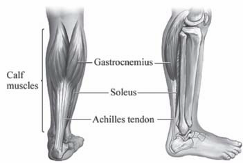 Achilles Injuries